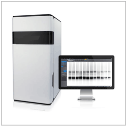 Chemiluminescence Imaging